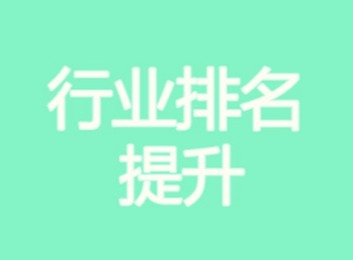 重磅！某行业企业实现显著突破，行业排名大幅提升引发广泛关注与期待
