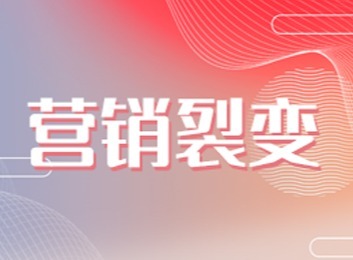 行业大V联盟携手矩阵助推，开启全新推广模式，引领行业发展新浪潮！