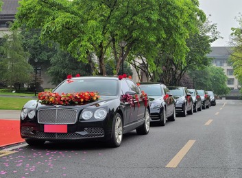 婚车租赁：专业性强、价格合理、选择多样、服务优质的婚礼出行之选