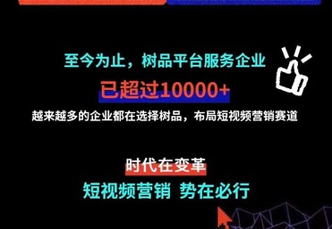 树品优势