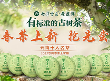 云南七彩茶绝美图片展示，多视角呈现独特魅力瞬间