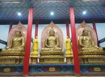 探秘铜佛像：用铜或青铜铸造，部分鎏金称金铜佛像，大型室外常见，广义含多种金属小佛像