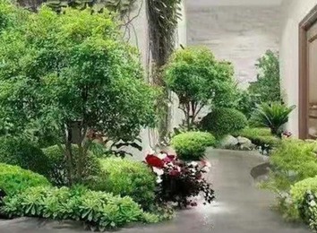 南通瑞乐景观绿化：专业提供园林工程、庭院设计施工及养护服务，打造温馨绿色环境