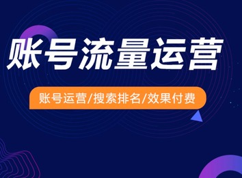 揭秘排名前十背后的奥秘，究竟哪些能脱颖而出占据这荣耀之位？