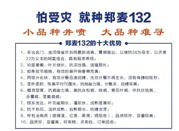 河南省农科院新选育小麦品种，矮抗58与济麦22组合，多抗性强、品质优、容重高