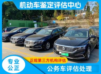 广东一检机动车鉴定评估服务有限公司：2018 年成立于东莞，提供二手车鉴定评估及技术服务