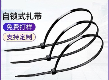 中山市卓正塑胶电子有限公司：优质尼龙扎带，高强度耐用，多规格可选，广泛应用各行业