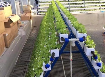 种植盘厚片吸塑厂新生塑胶：一站式服务，多行业适用，工艺突破巩固地位