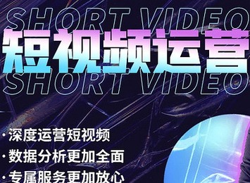 团队精细化运营：保障视频基础流量，实现子账号全自动，精准布局关键词，享一对一售后