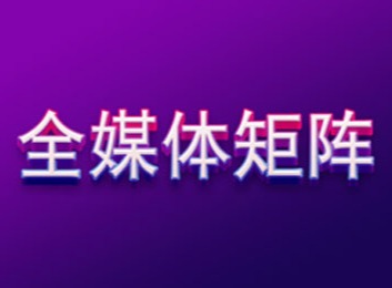 多平台推广策略：助力扩大影响力与受众范围，显著提高品牌知名度和曝光率