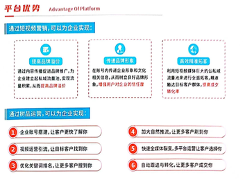 企业账号搭建与多维度运营策略：引流、排名优化、推流，助力更多客户成交