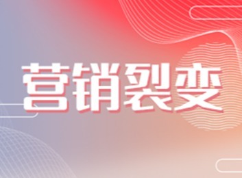 终端市场裂变模式核心：摒弃全面铺开急速发展，专注单点突破精耕细作