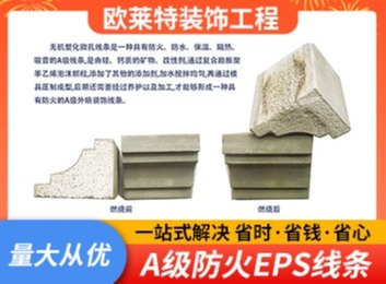 一组精彩图片展示：2023年9月6日多图呈现多样画面，涵盖不同场景引人关注