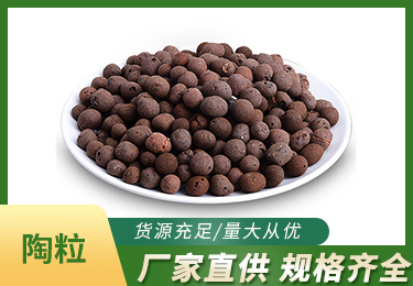 一组精彩图片展示：涵盖 2023 年 9 月 7 日多时段不同场景的视觉盛宴