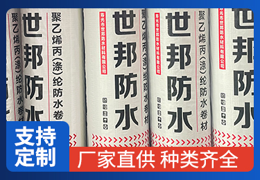 展示多张特定编号图片，涵盖2023年9月11日不同时刻相关的sgsbfsclyxgs系列图片