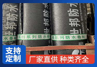 展示十张特定编号图片，涵盖不同时间戳，记录特定时刻景象