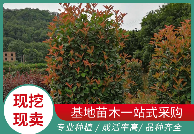 一组2023年9月18日相关的图片展示，涵盖多场景多视角精彩画面