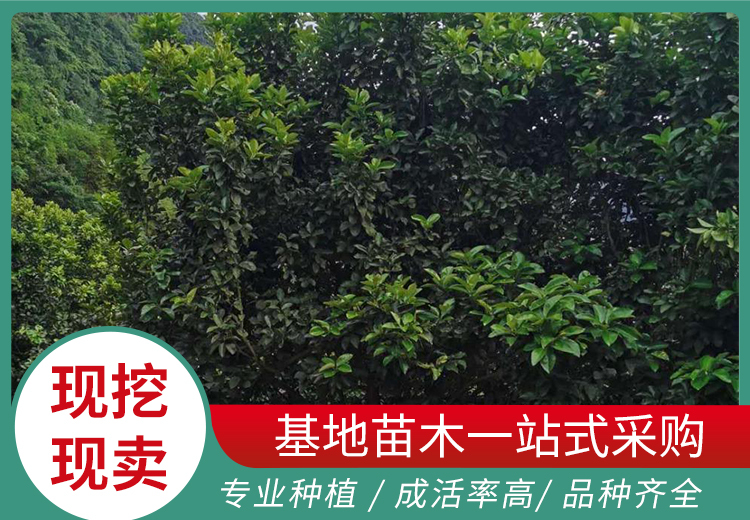 展示多幅特定日期图片，涵盖多个编号图片展现丰富视觉内容，2023年9月18日精彩图集