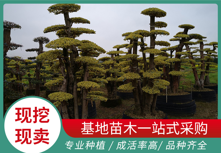 多图展示：2023年9月18日一系列相关场景图片，涵盖多个独特画面