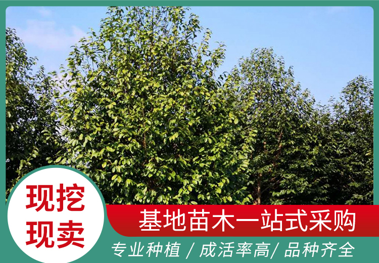 一组精彩图片展示，涵盖多视角画面，带你领略别样视觉盛宴，2023年9月18日呈现