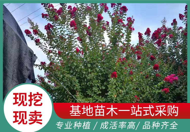 2023年9月18日相关图片展示，涵盖多组不同编号图片，呈现丰富视觉内容