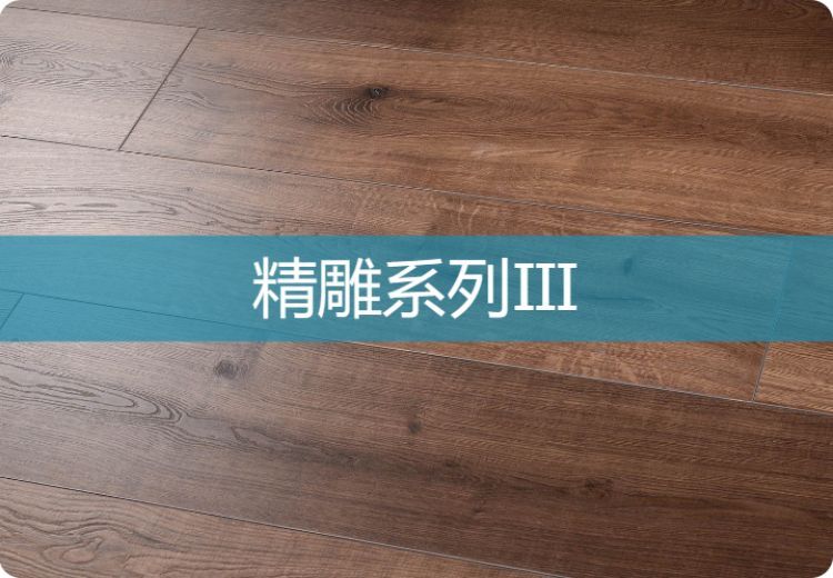 多图展示：四张特色图片带你领略未知精彩，涵盖多样场景与独特元素