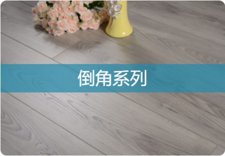 展示两张图片，探寻图片背后未知世界，领略独特视觉魅力