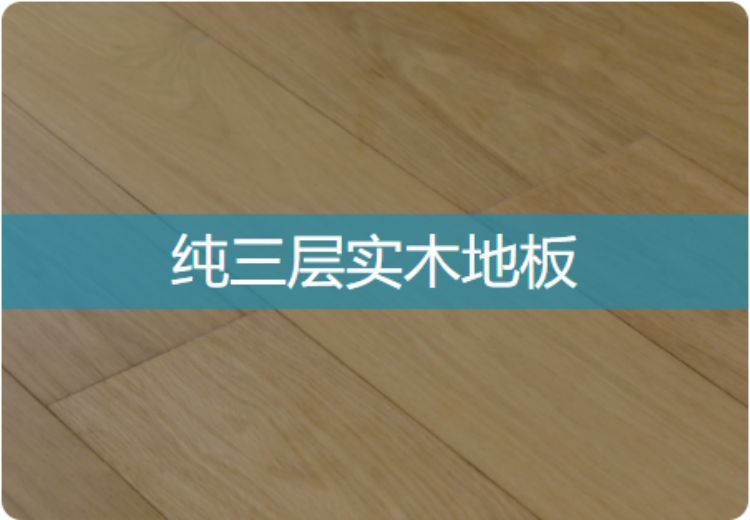 一张未知图片引发好奇，究竟图中展现怎样独特画面与故事？