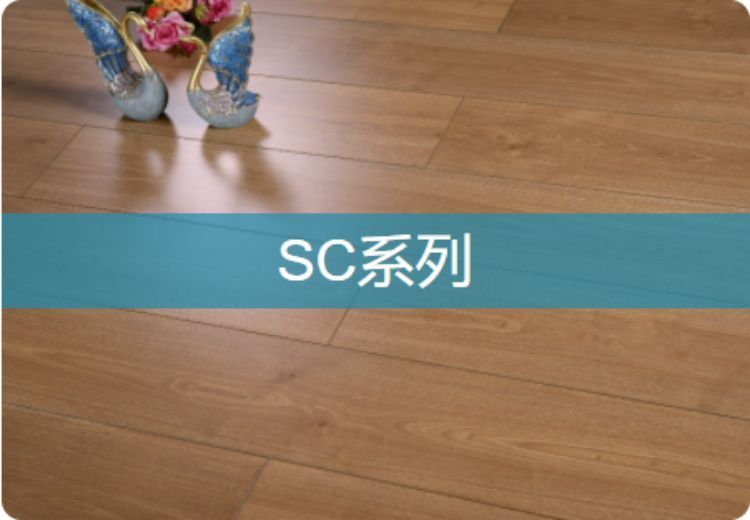 2023年10月8日相关展示：两张独特图片带来视觉新体验
