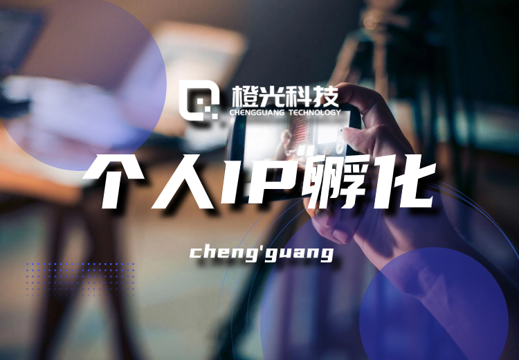 抖音及全媒体矩阵运营解决方案：全自动账号管理、全网搜索优化，助力品牌传播与转化