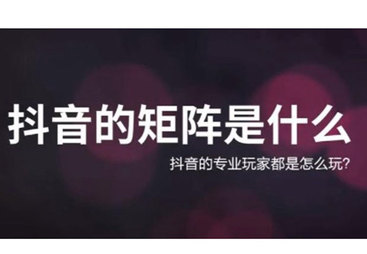 企业为什么要做抖音矩阵号?