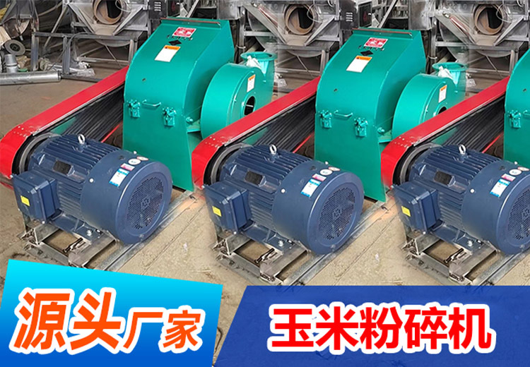 一组独特图片展示，包含多张来自特定网站的图片，日期为2024年5月25日