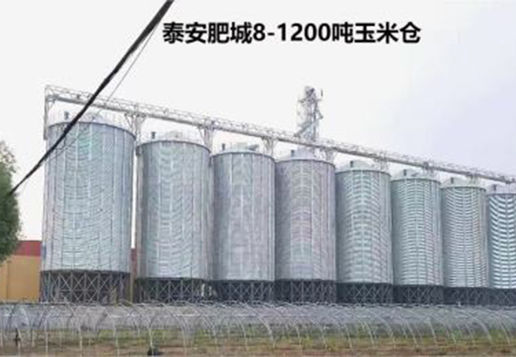 1 - 32米直径、1 - 15000吨单仓容量全装配钢板仓，30年寿命，配套设备实现自动化，获国内外好评