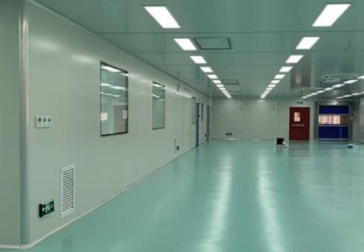 四川绿润易涂：以原创科技打造艺术涂料体系，多年历程铸就，引领产业新发展