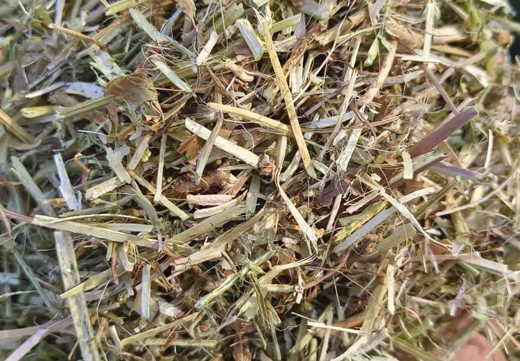 花生秧粗加工产品：养牛、羊、马等反刍动物优质饲料，缩短养殖周期，提升肉质卖价
