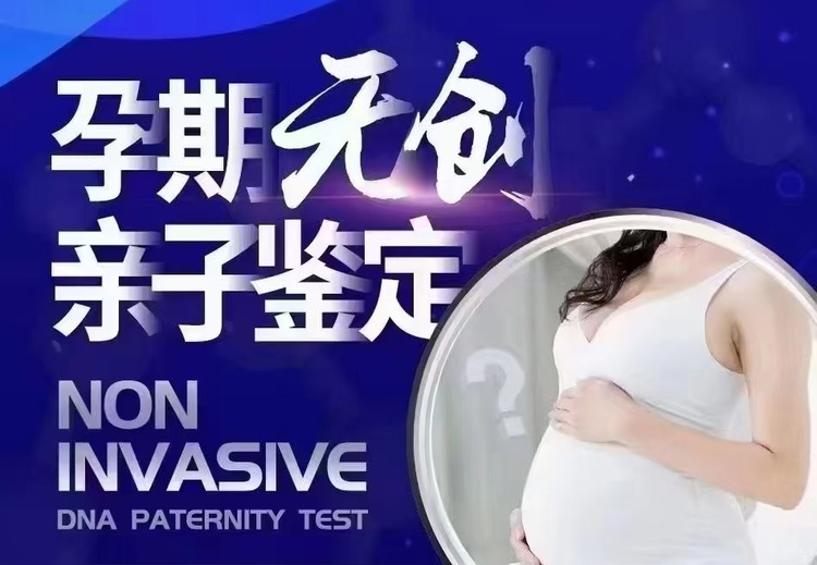 一张神秘图片引发关注，画面背后隐藏着怎样的故事？点击一探究竟！