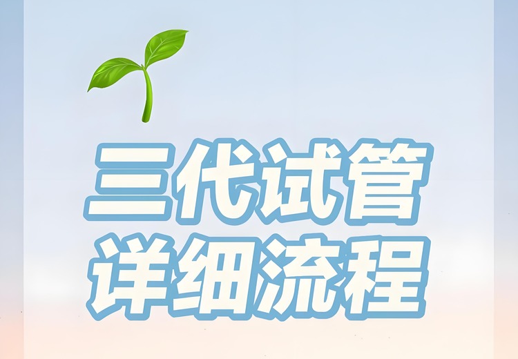 一张耐人寻味的图片：神秘场景引发无尽遐想