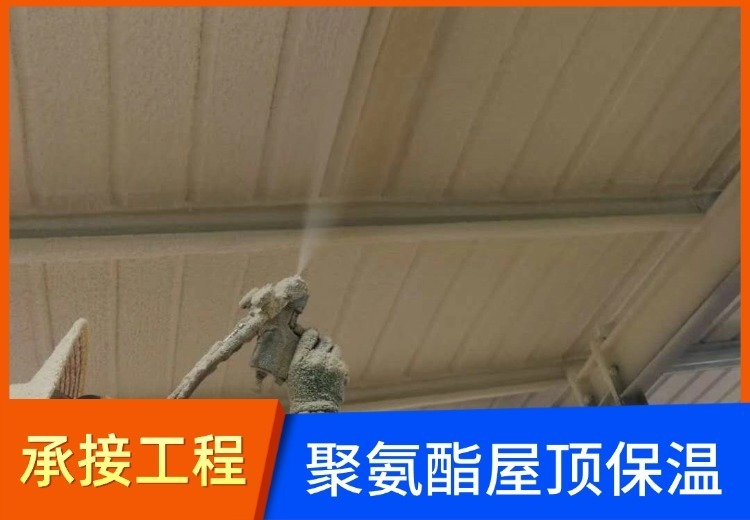 一张神秘图片，画面未知引发无限遐想，背后故事究竟几何？