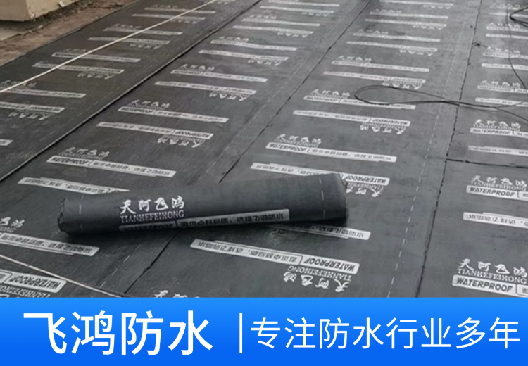 一张图片展现独特画面，图中内容或藏深意，点击一探究竟！