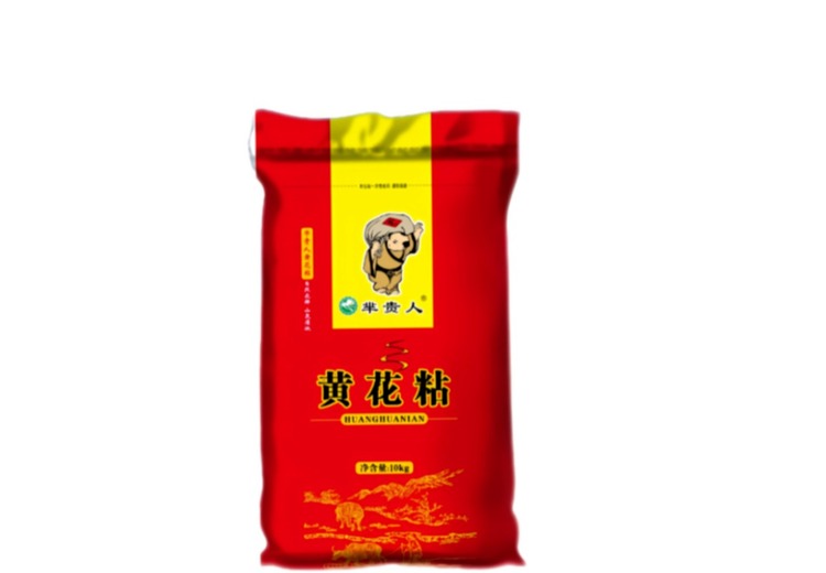揭秘！江西洪都大侠有限公司背后的运营品牌究竟有何独特魅力？