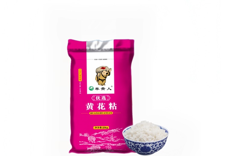 江西洪都大侠有限公司：运营品牌，开启商业新征程，引领行业无限可能