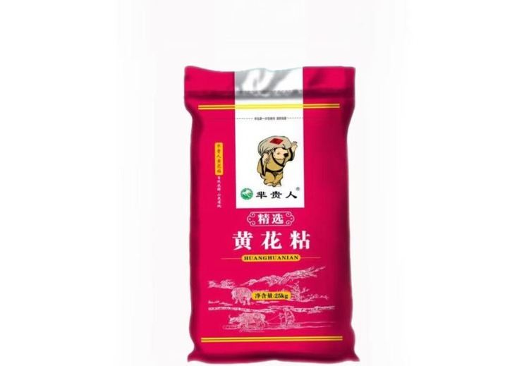 江西洪都大侠有限公司：独揽品牌运营大权，开启品牌发展全新篇章