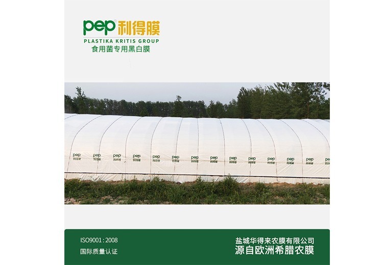 黑白膜 - 食用菌专用膜（3）：为食用菌生长量身定制，提供专业可靠的防护与支持