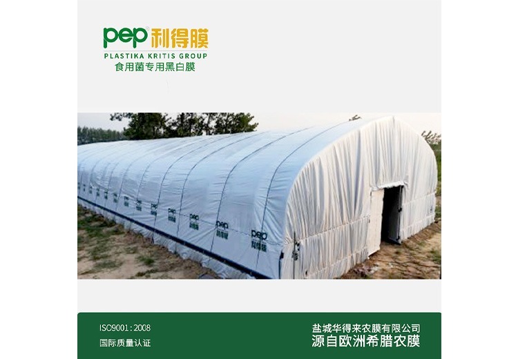 黑白膜——食用菌专用膜（4）：为食用菌生长提供专业呵护，助力高效种植