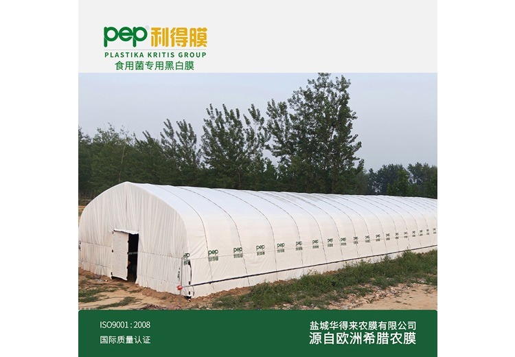 黑白膜——食用菌专用膜（6）：为食用菌生长提供专业呵护，助力高效种植