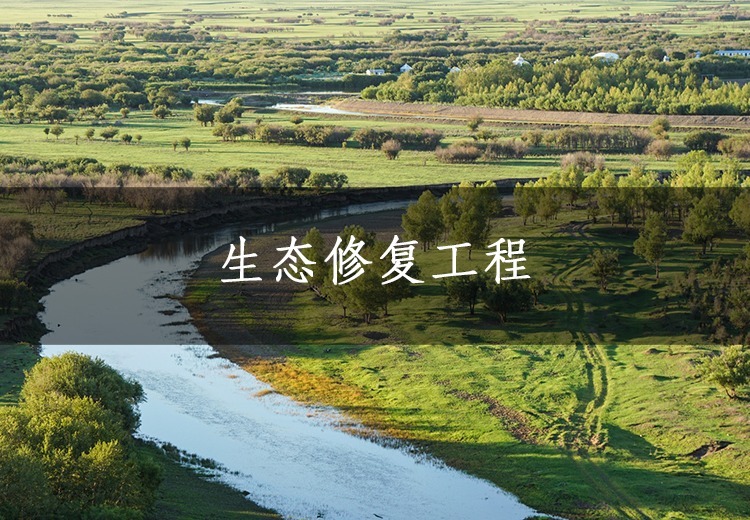 三北防护林区固沙、矿山修复及湿地生态治理：技术助力生态环境改善与景观再生
