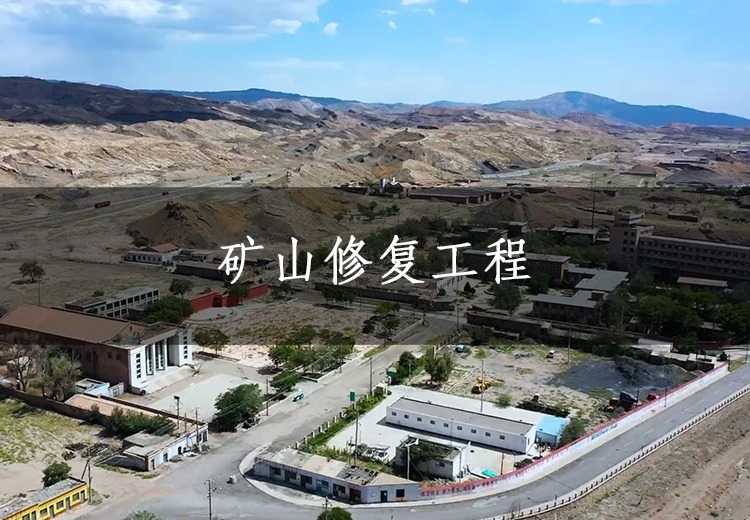 石嘴山煤矿遗址生态公园：矸石山微地形重塑与重金属富集植物修复打造特色矿山公园