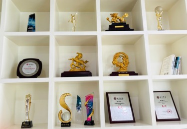 上海短视频代运营市场剖析：如何选到靠谱又高性价比的合作伙伴