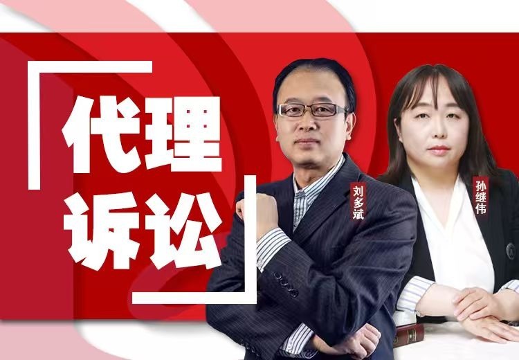 代理诉讼