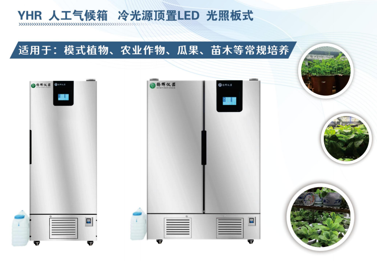 模式植物、农业作物、瓜果、苗木等常规培养适用方法与优势解析